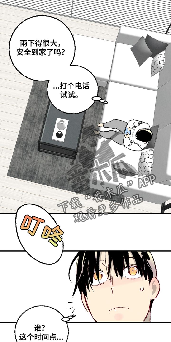 8.jpg