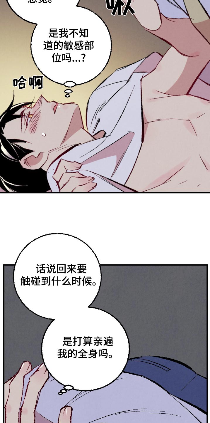 14.jpg