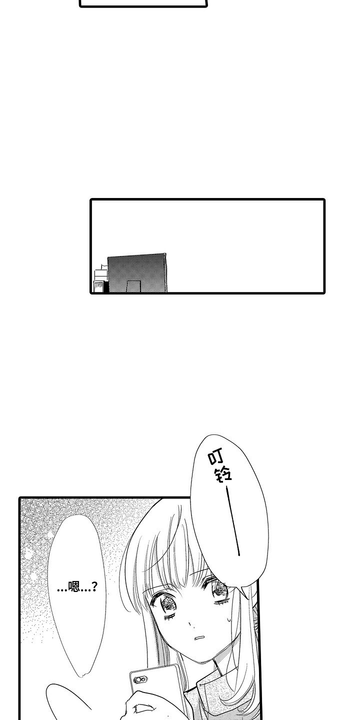 15.jpg