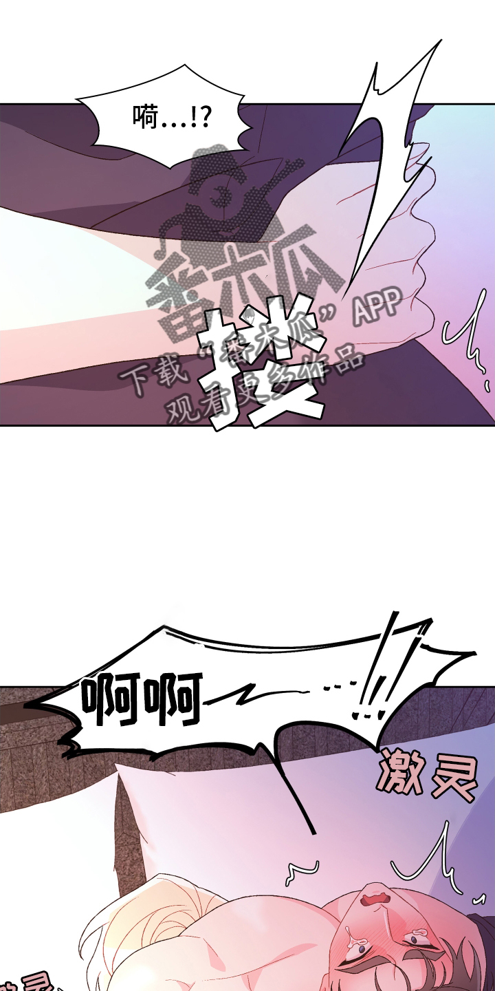 26.jpg