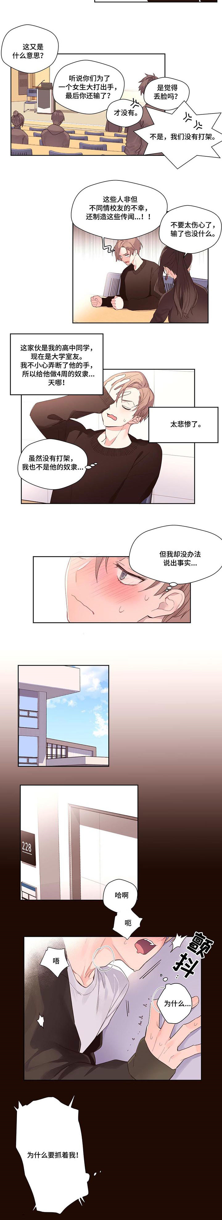 2.jpg