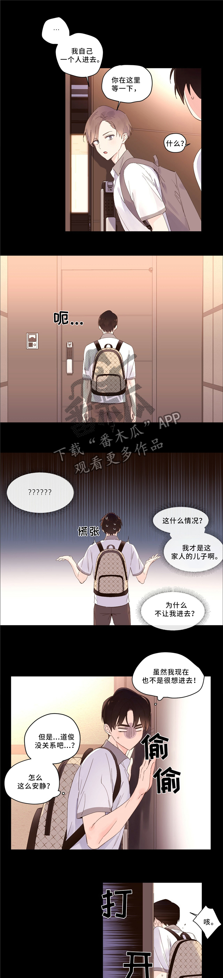 5.jpg