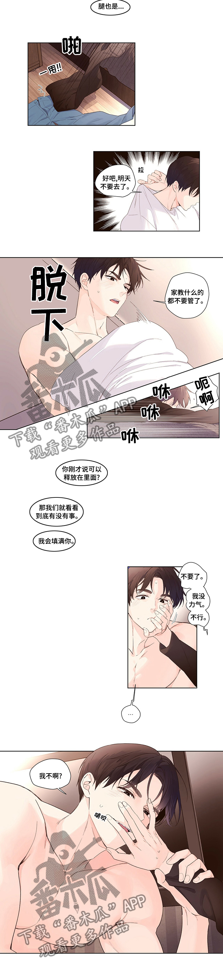 6.jpg