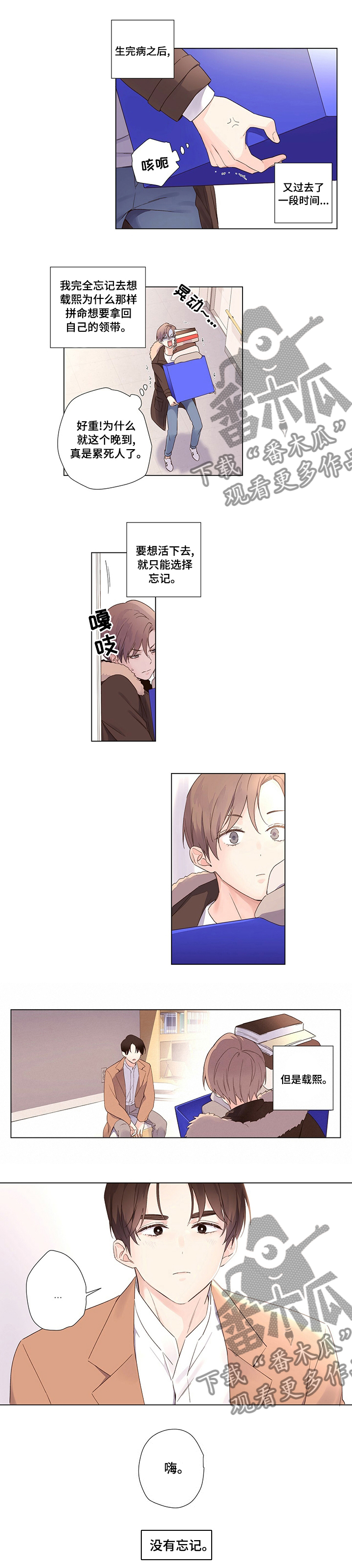 5.jpg