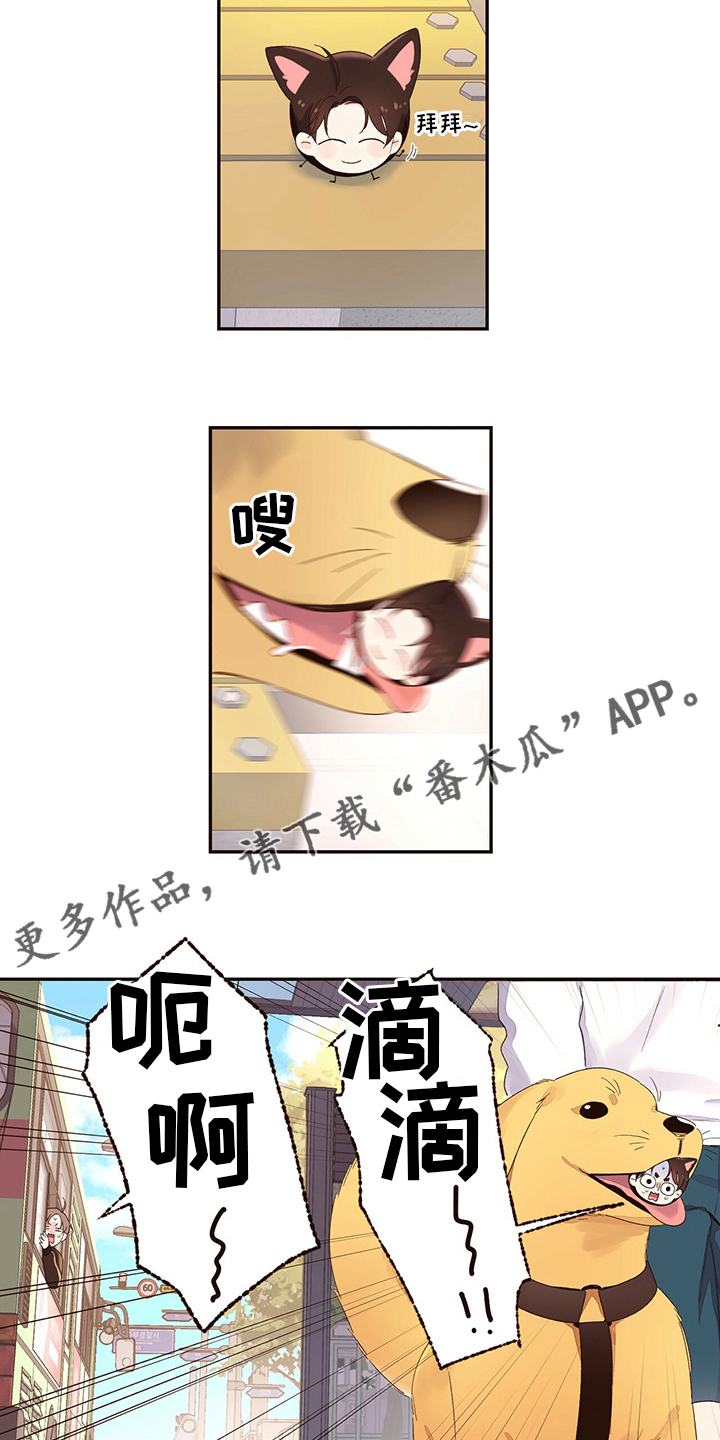 13.jpg
