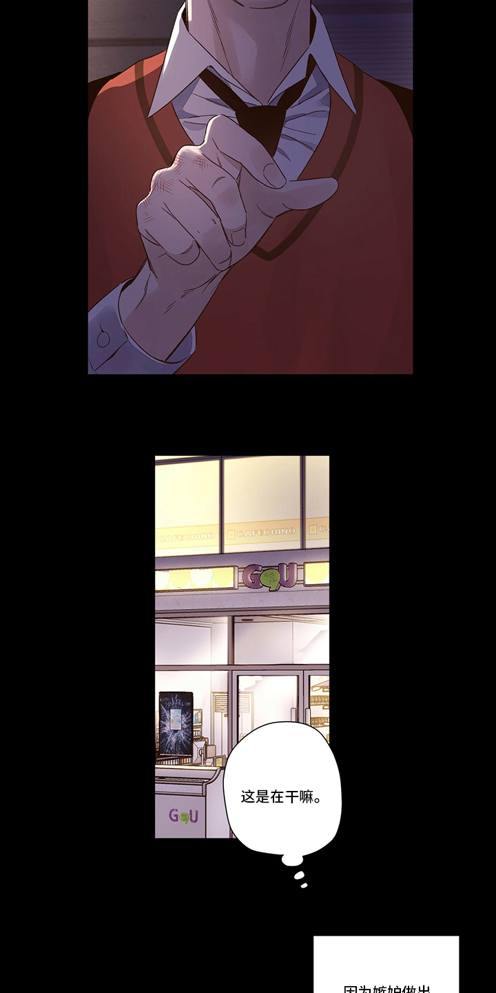 15.jpg