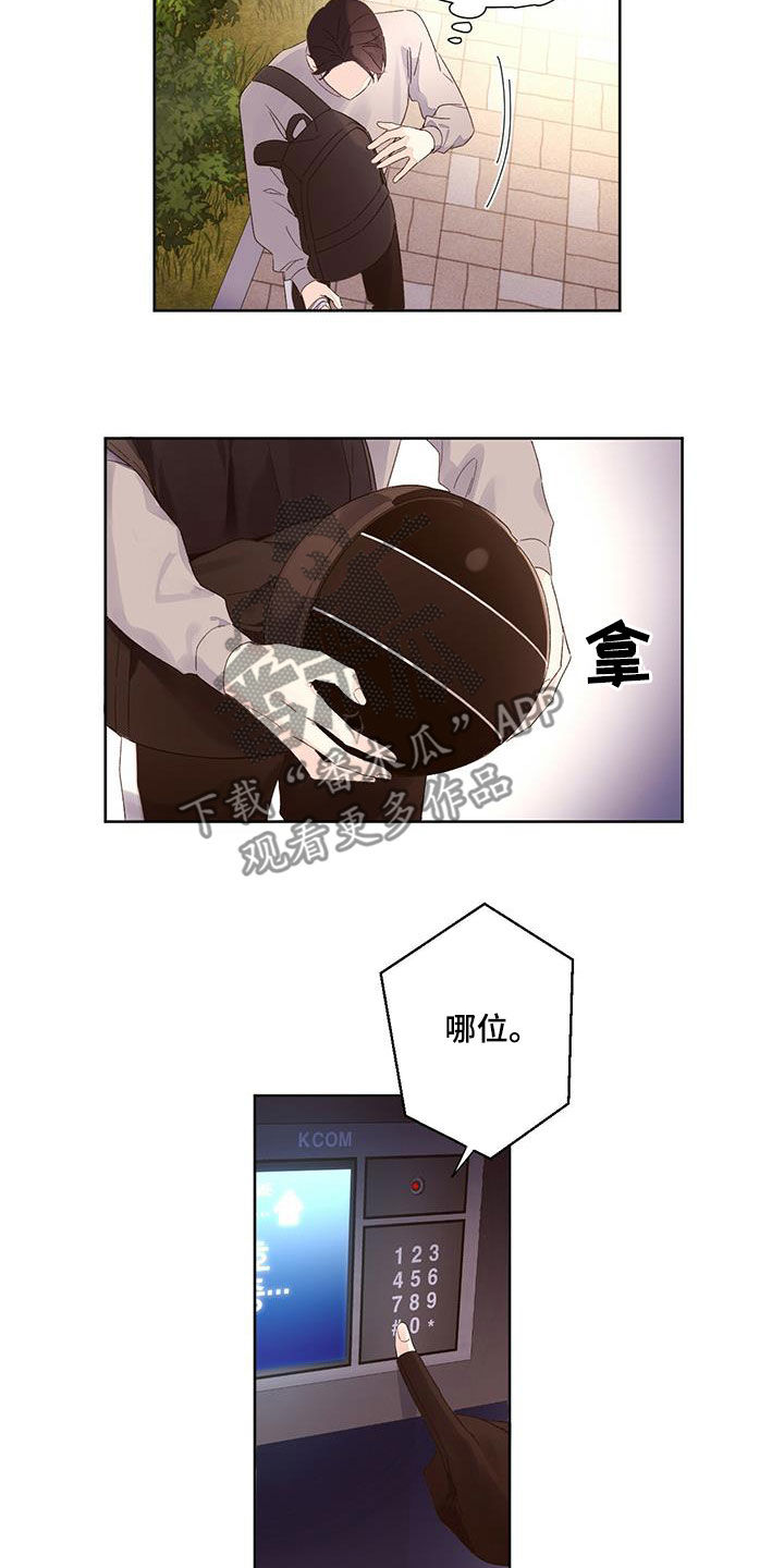 8.jpg