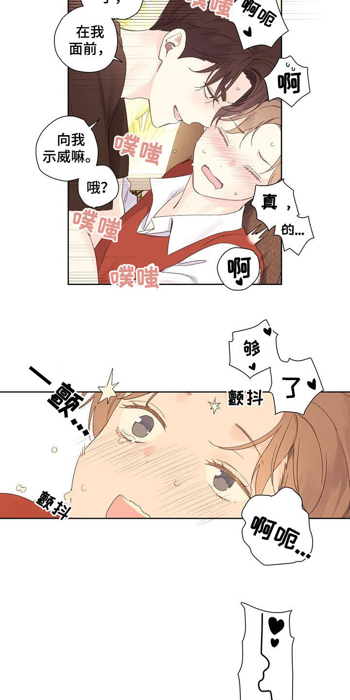 19.jpg