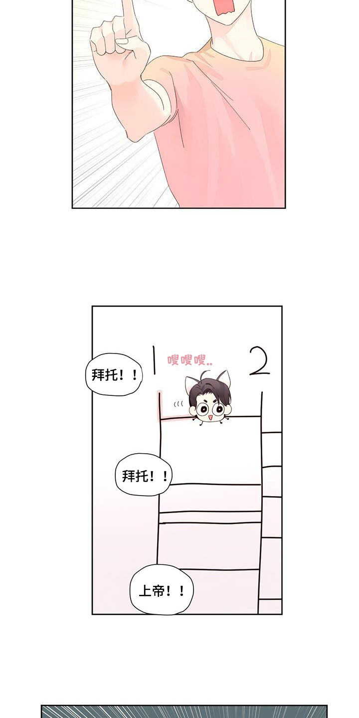 13.jpg