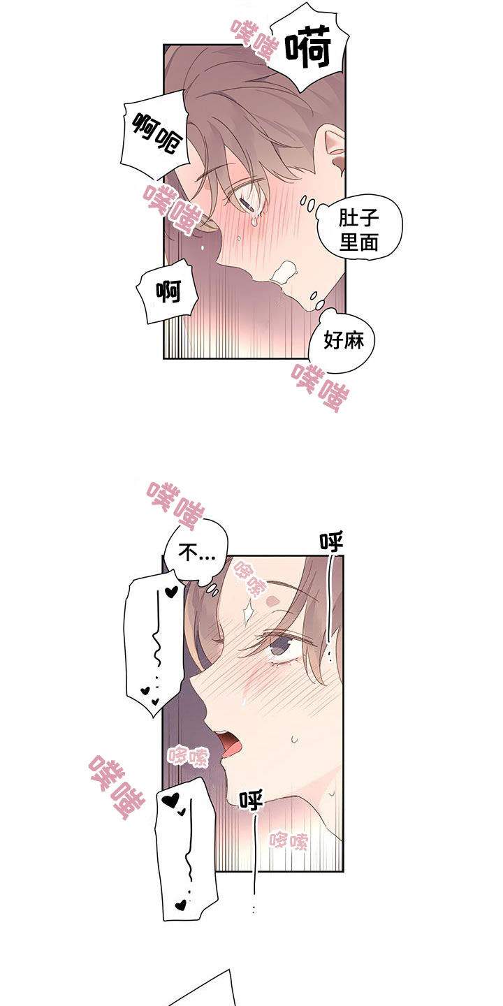 15.jpg