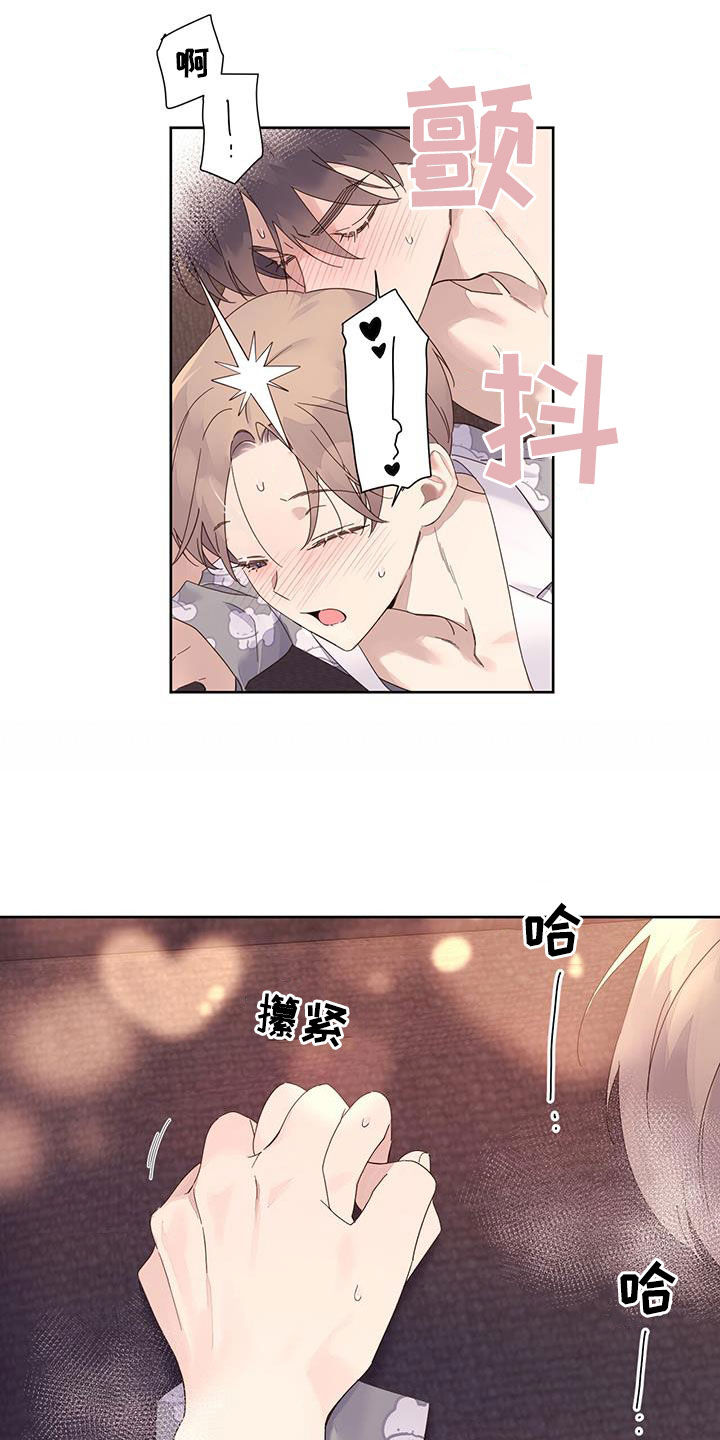 15.jpg