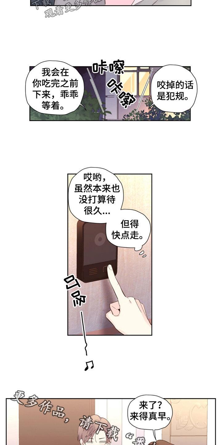 12.jpg