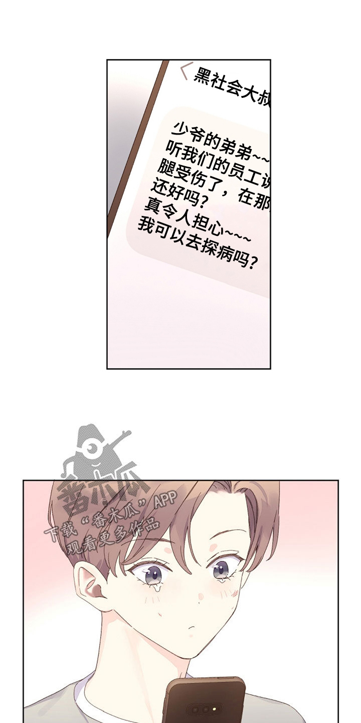 12.jpg