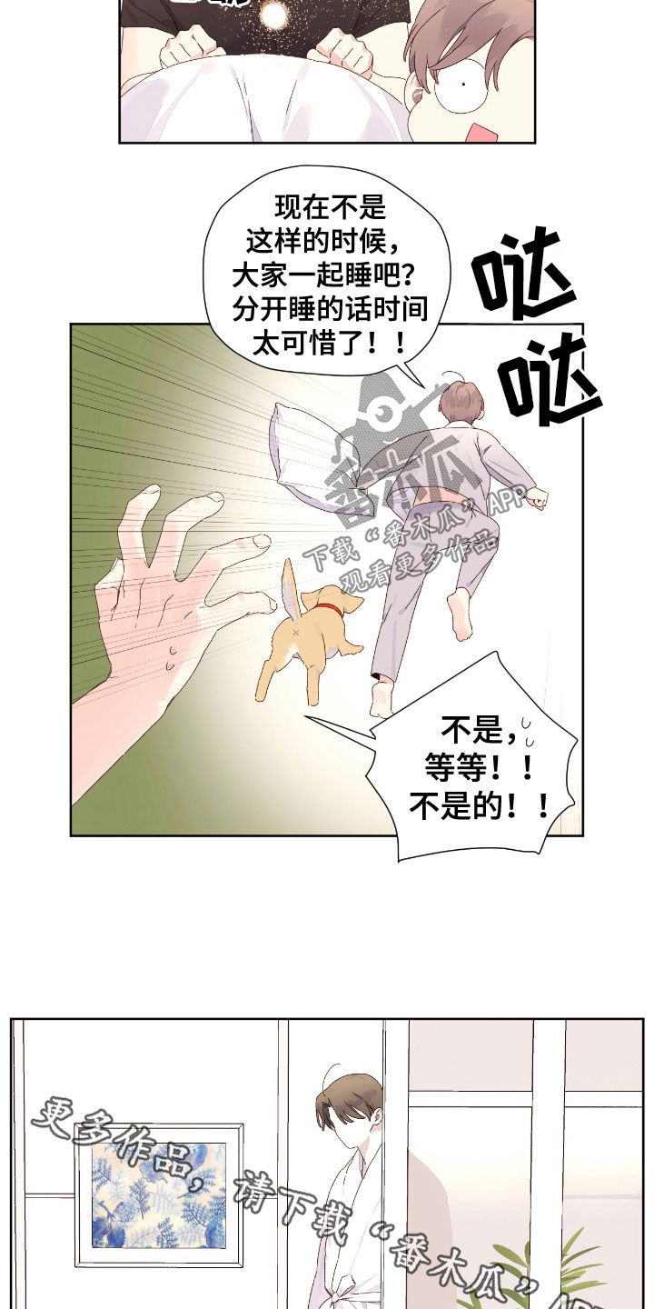13.jpg