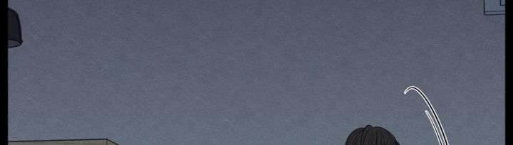 81.jpg