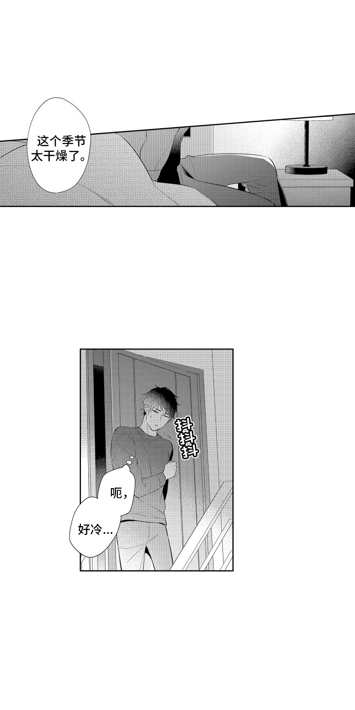 17.jpg