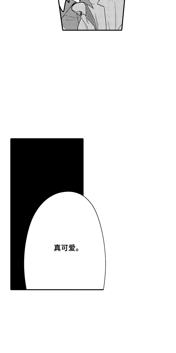 16.jpg