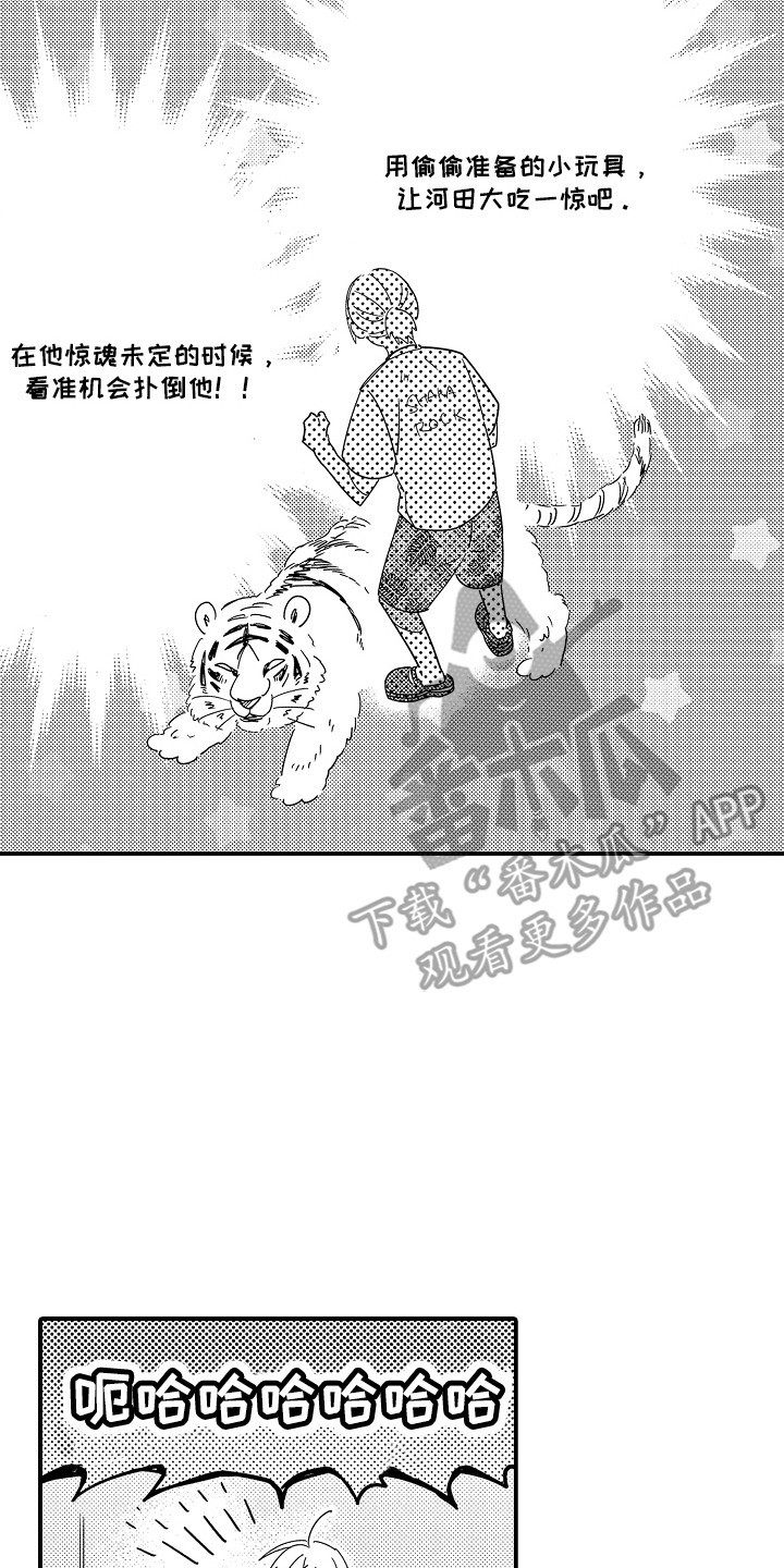 20.jpg