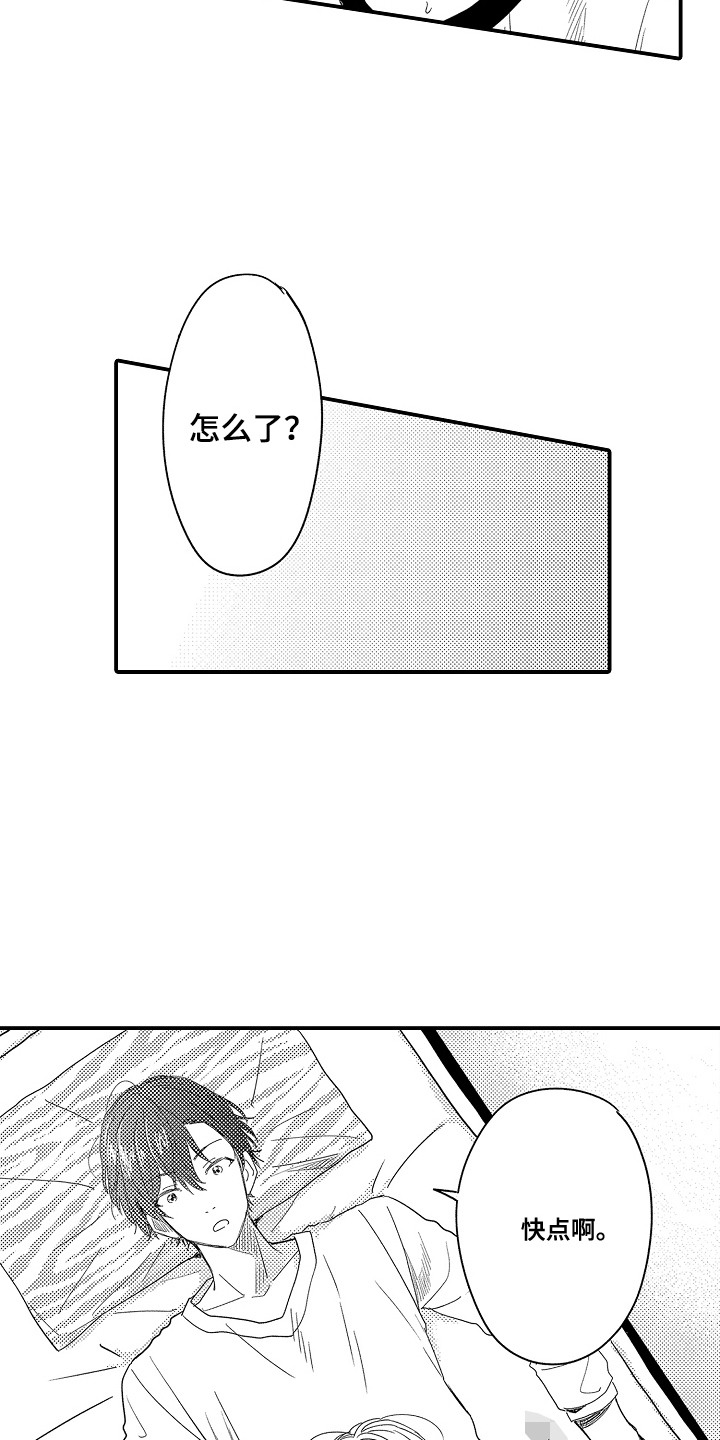 13.jpg