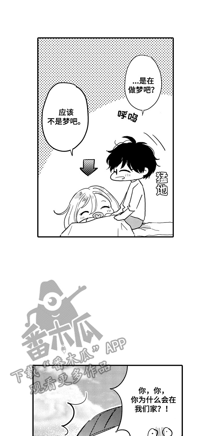 13.jpg