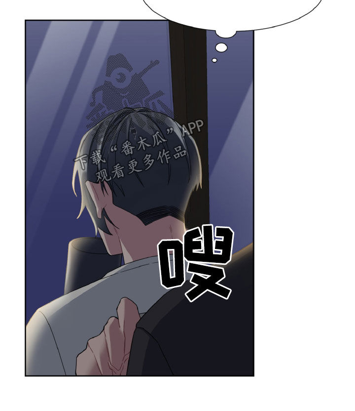 12.jpg
