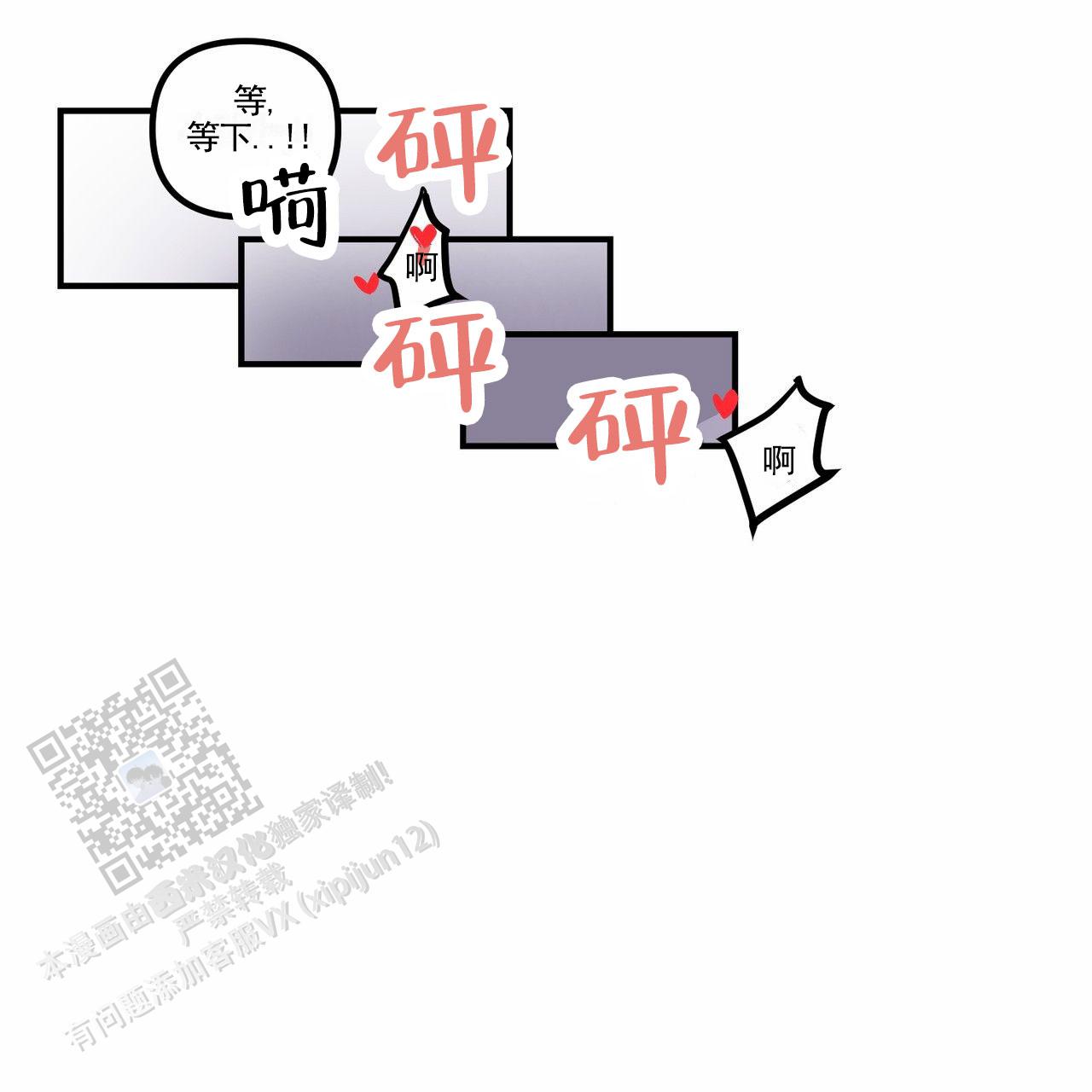 51.jpg