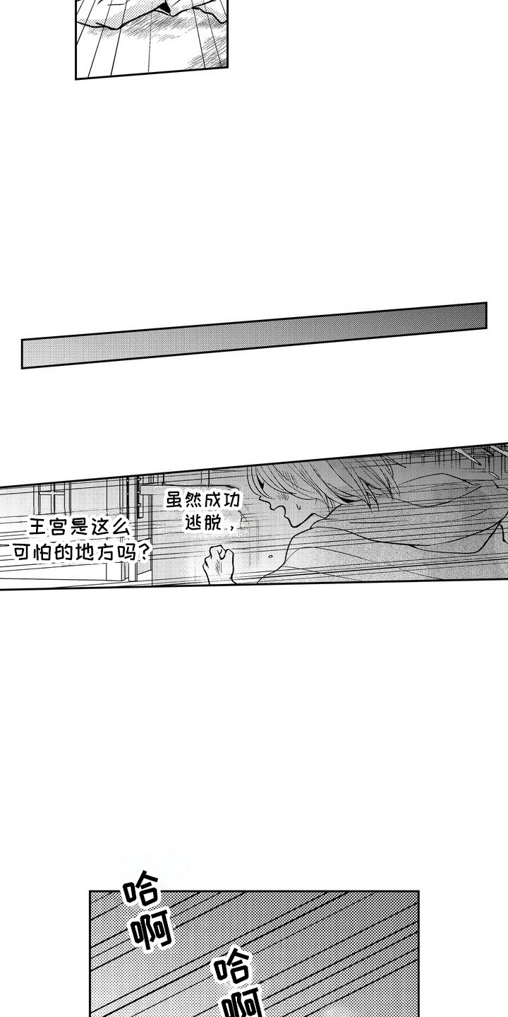 16.jpg