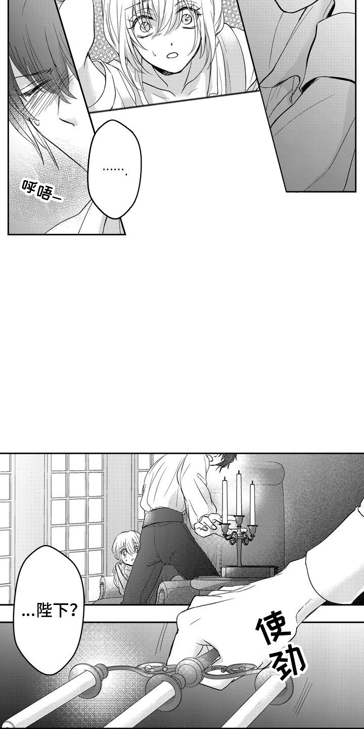 15.jpg