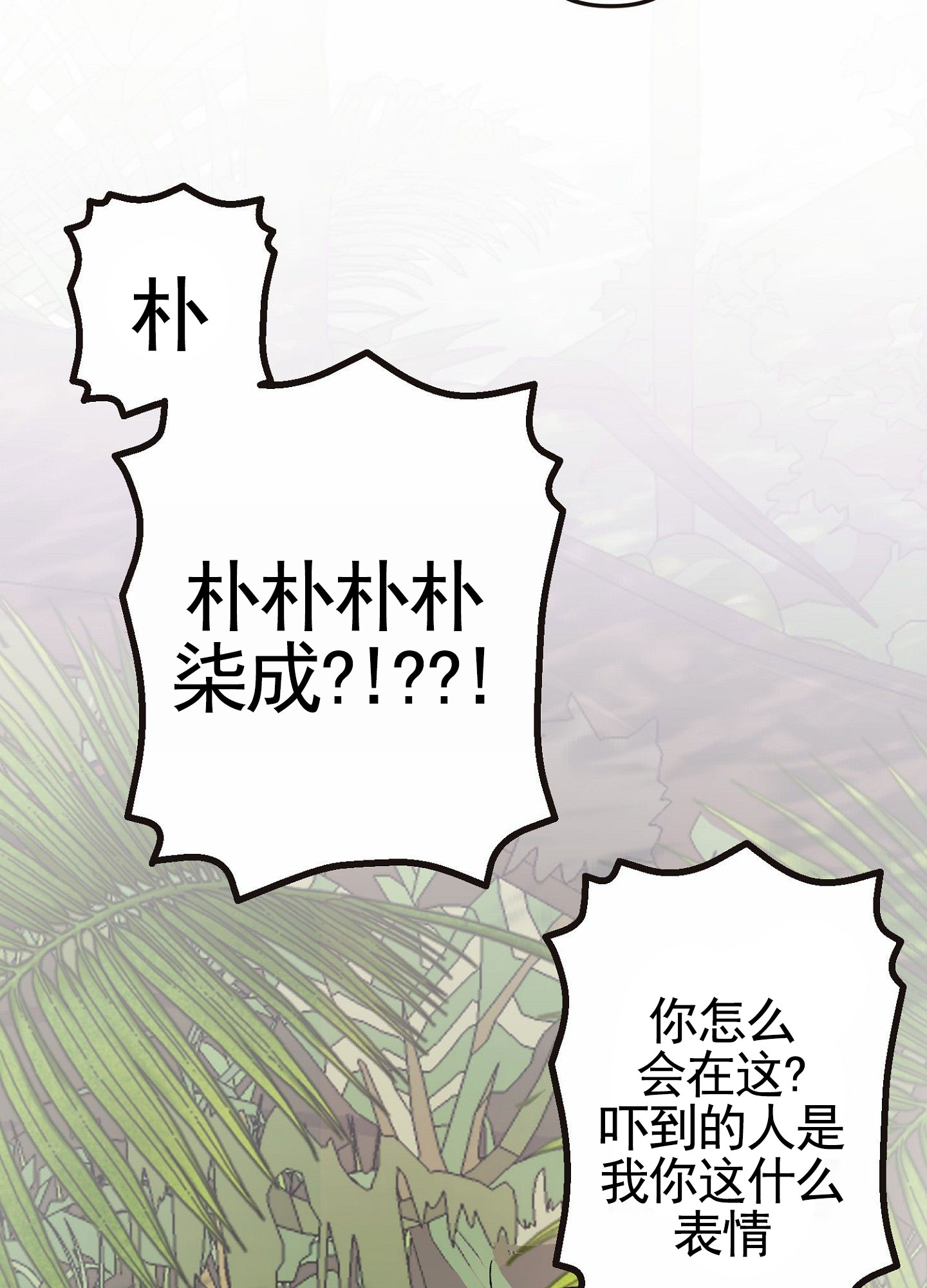 26.jpg