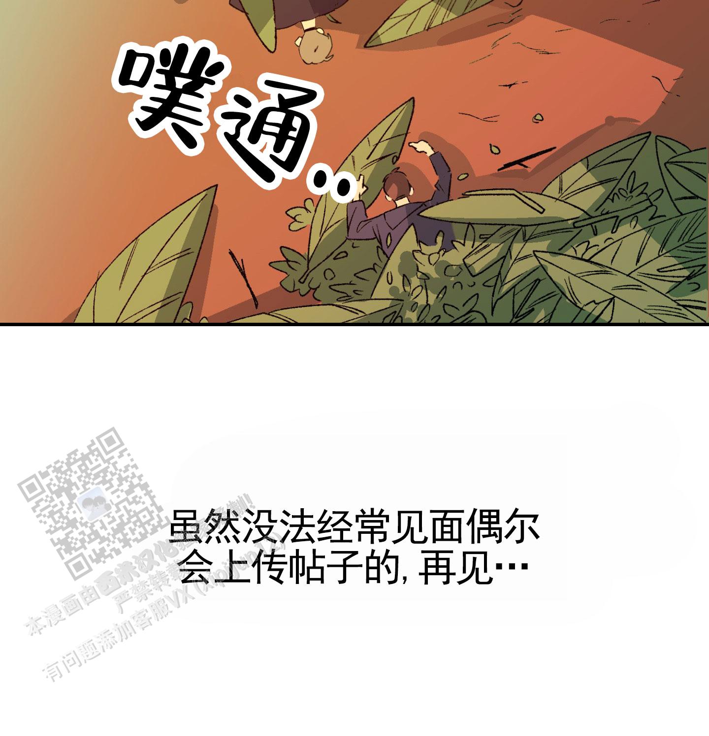 52.jpg