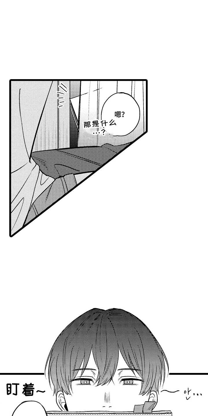 13.jpg