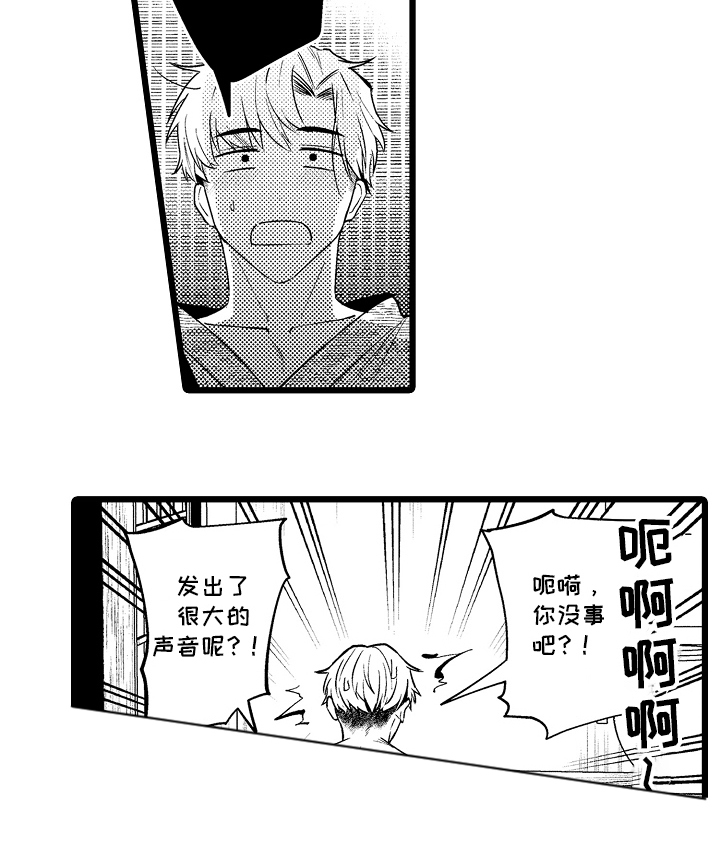 19.jpg