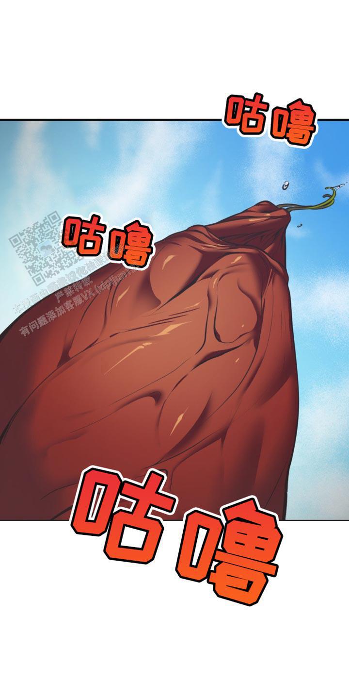 13.jpg