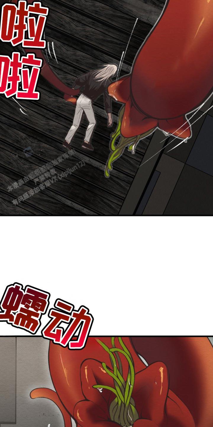 27.jpg
