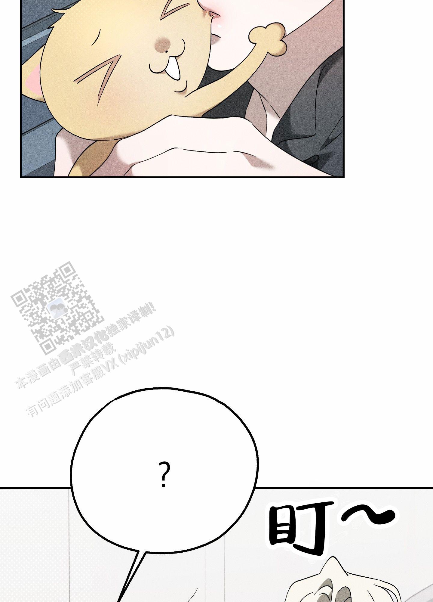 23.jpg