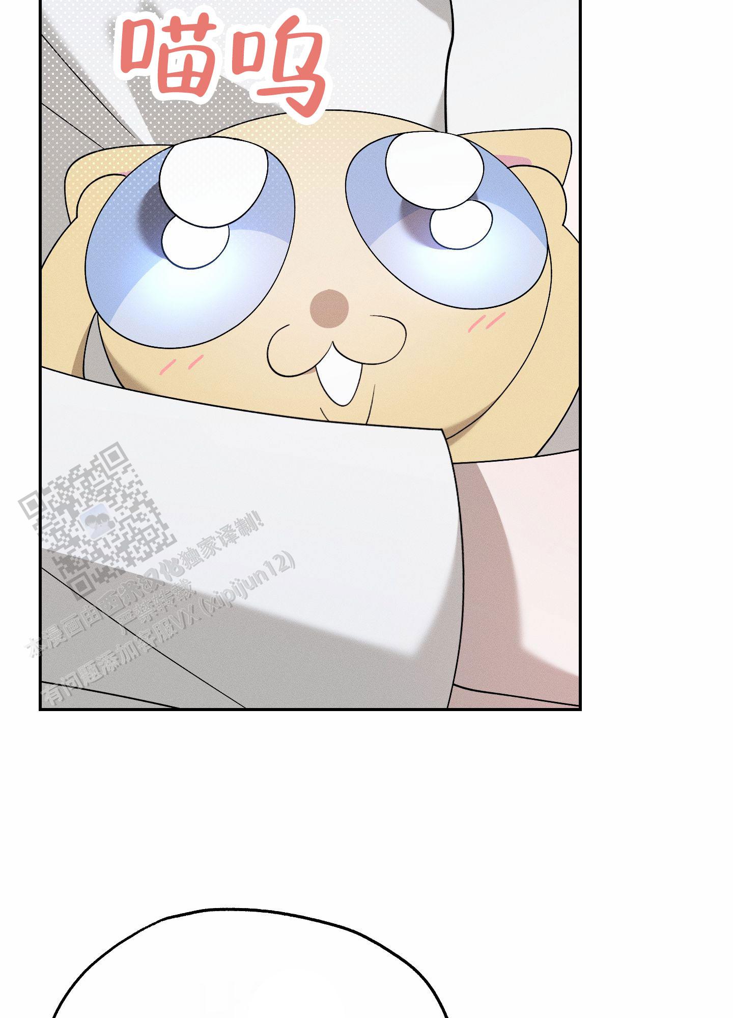 41.jpg