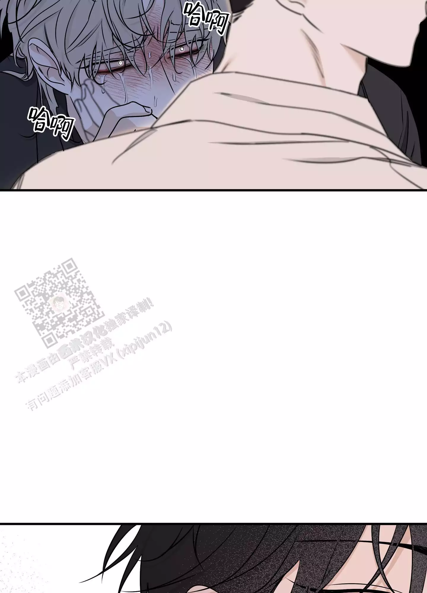 36.jpg