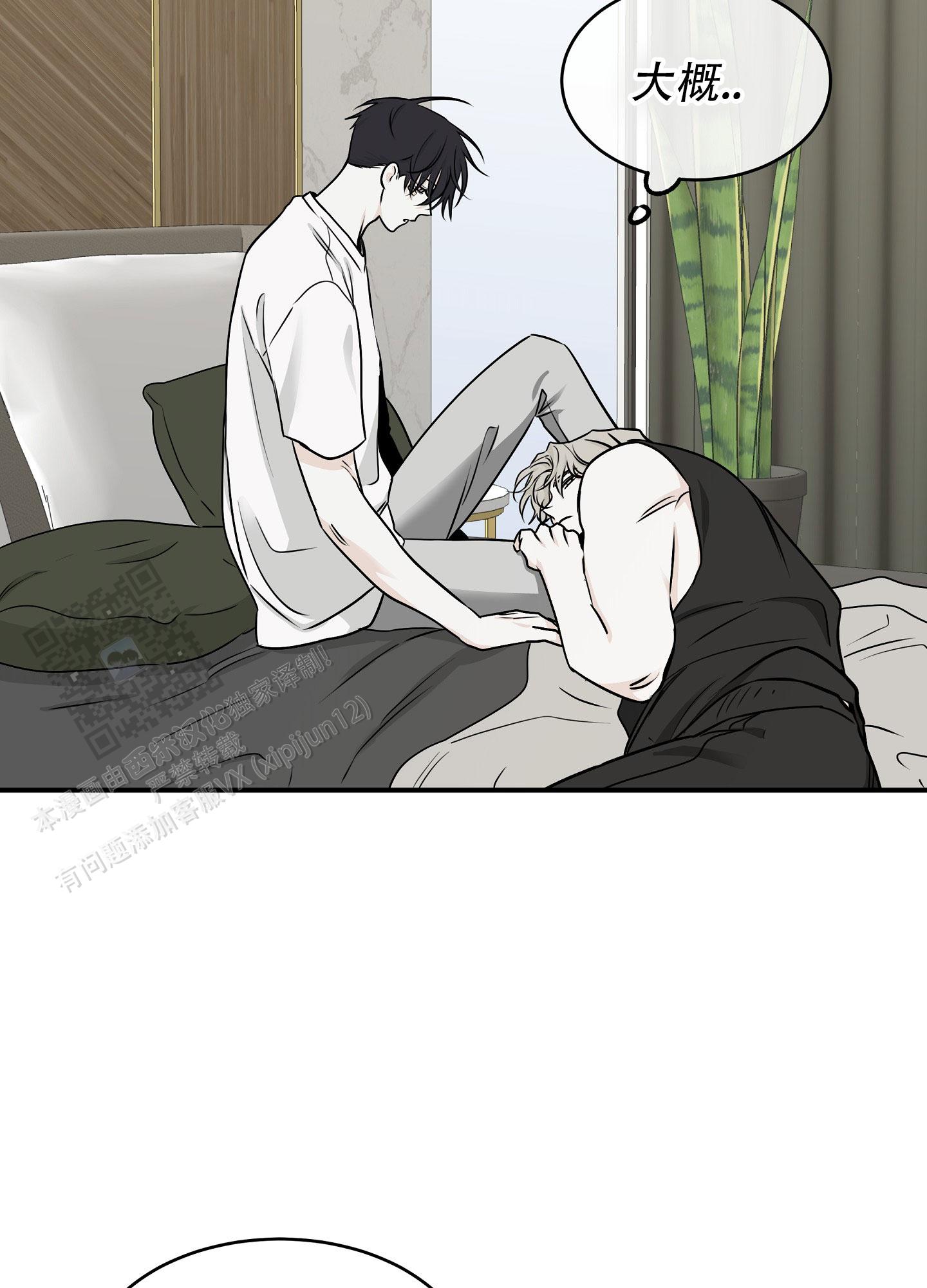 46.jpg