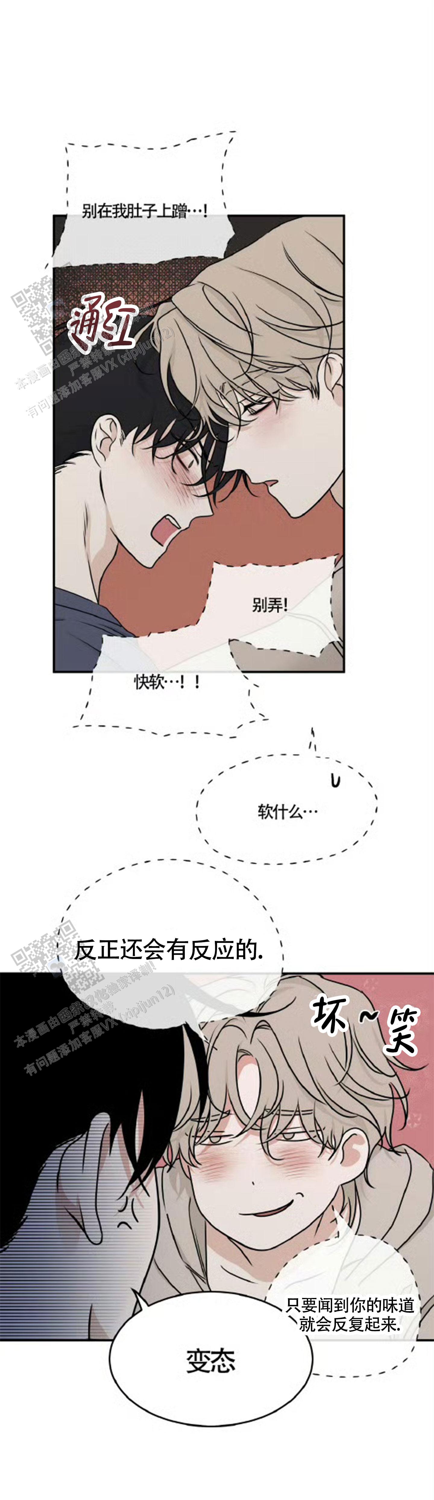 19.jpg