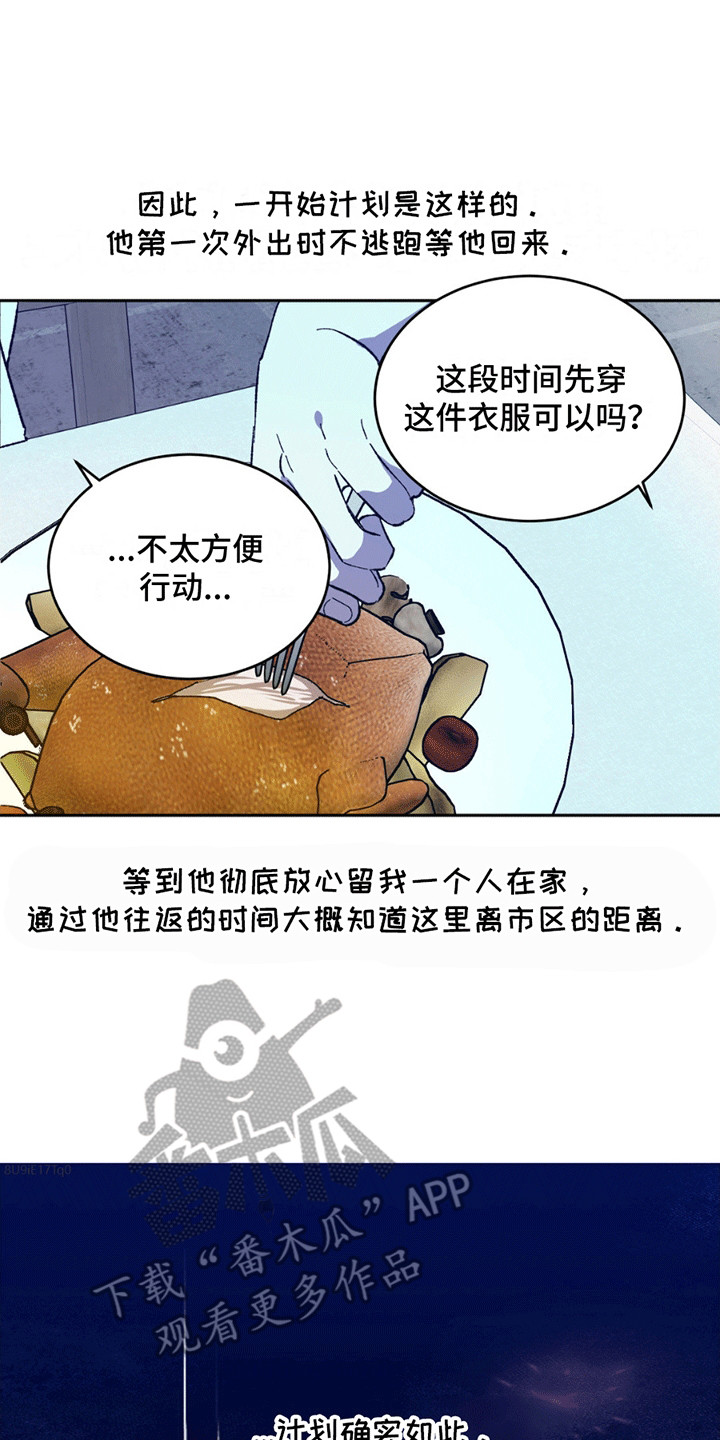 16.jpg