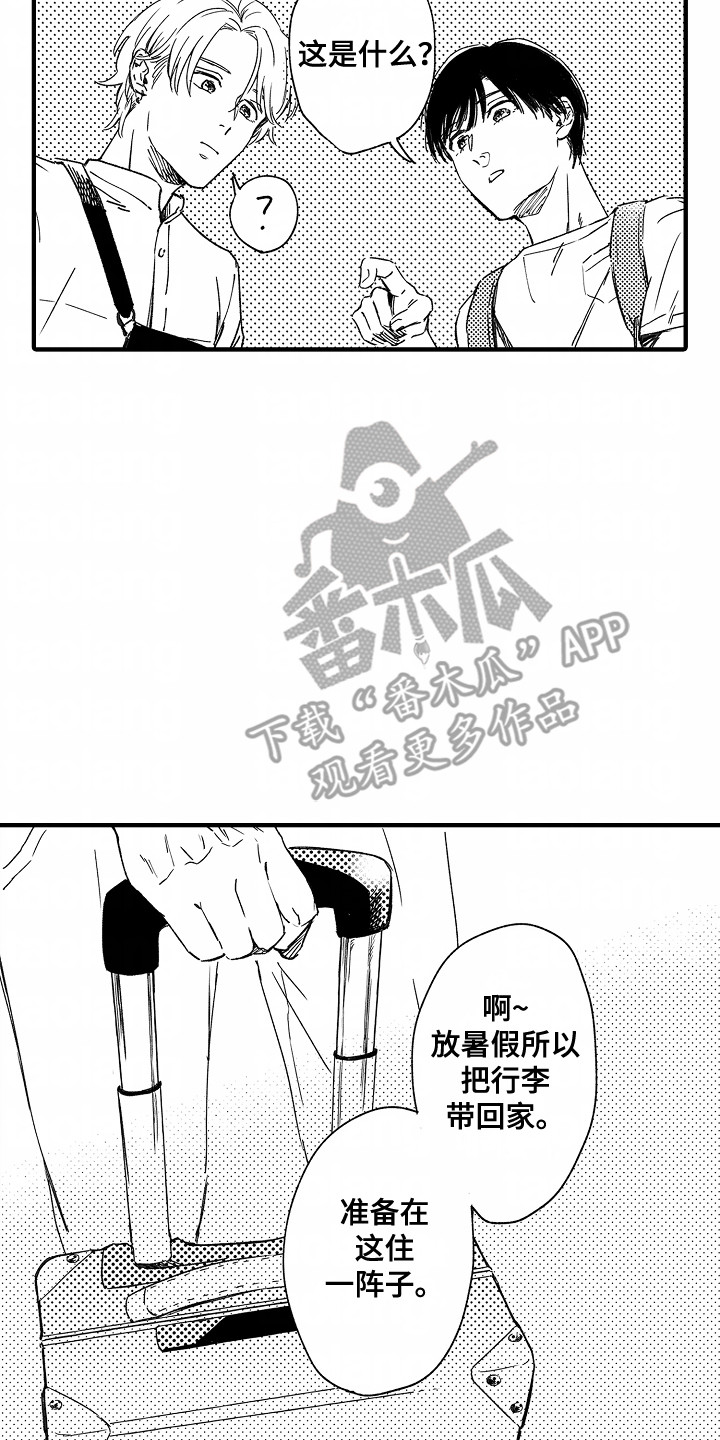 11.jpg