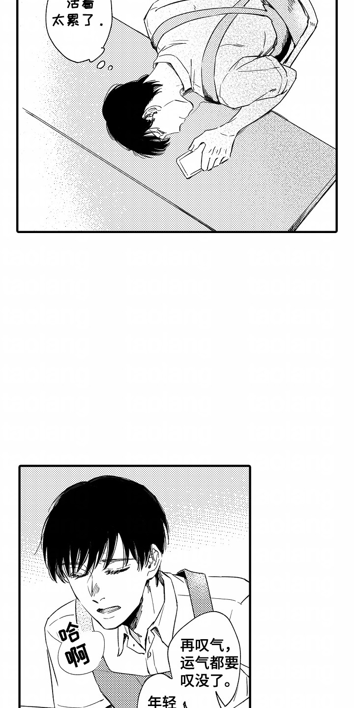 13.jpg