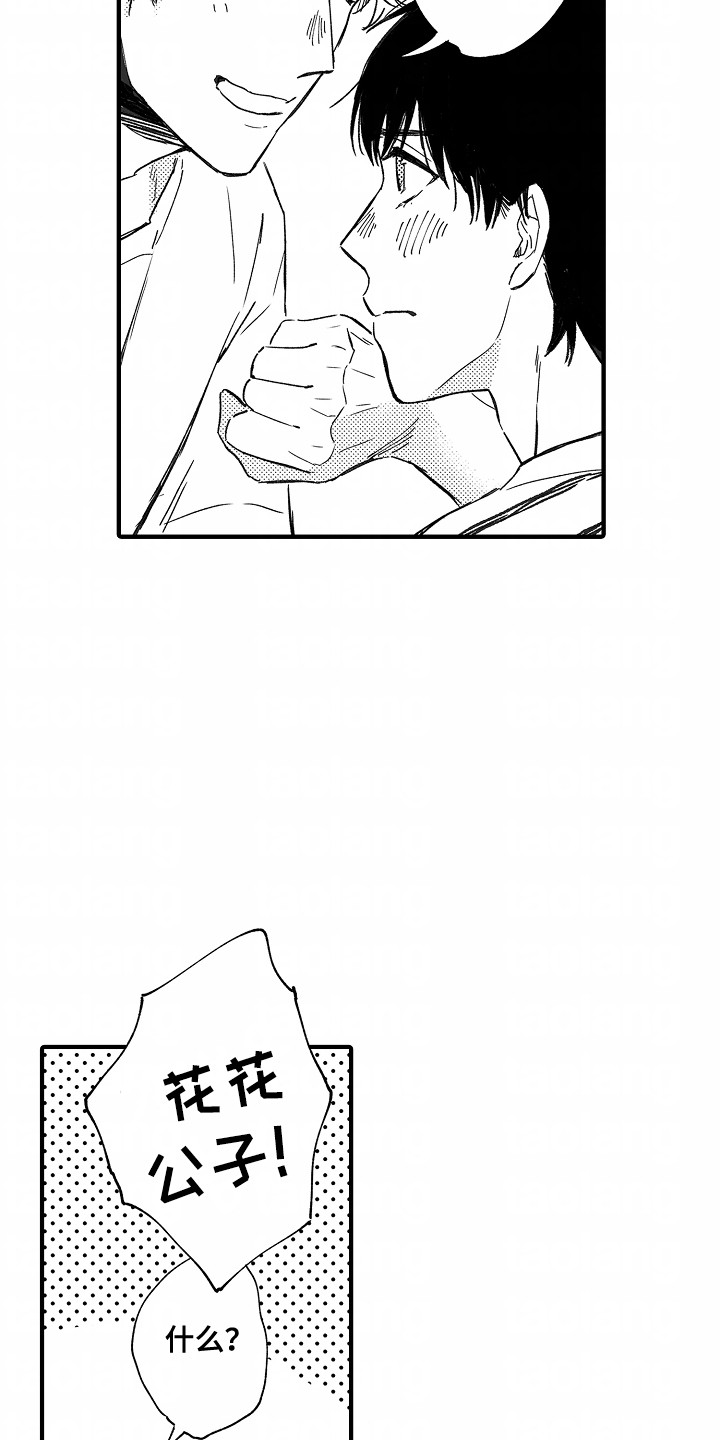 25.jpg
