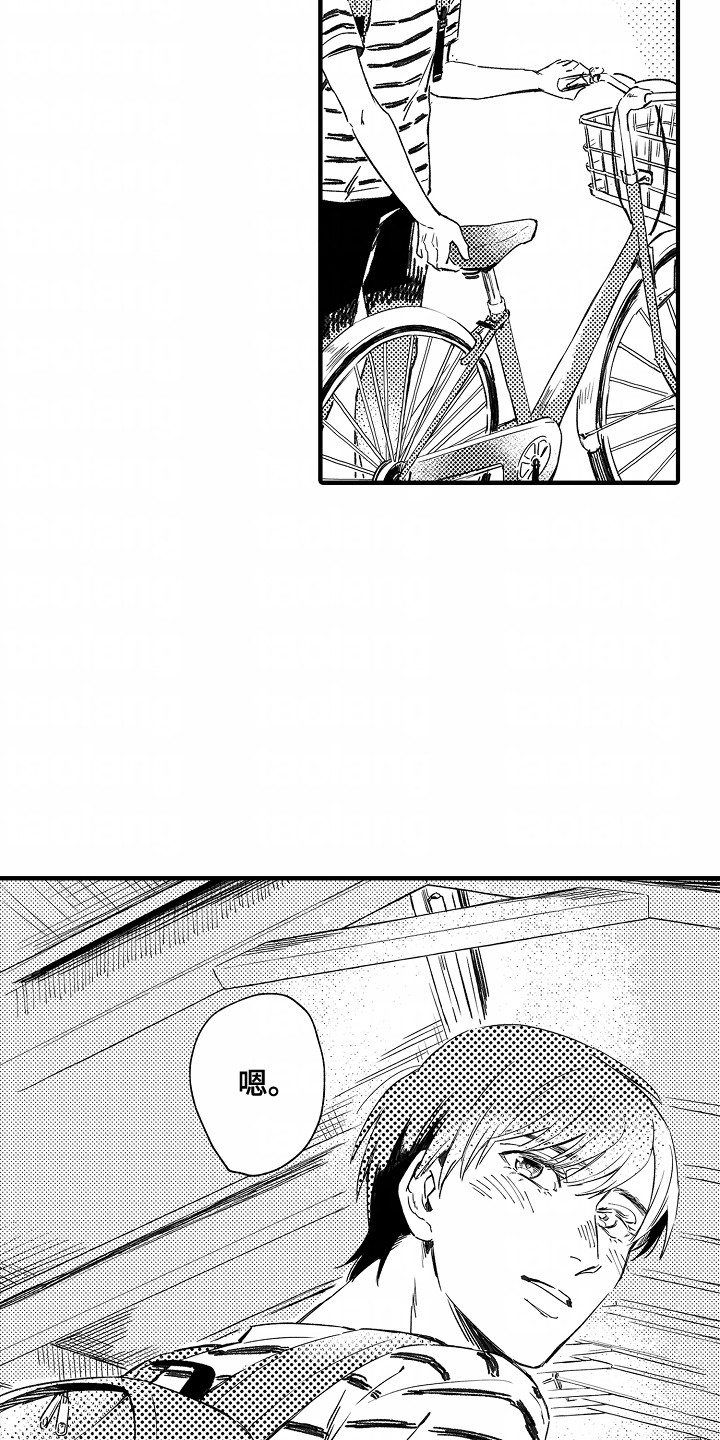 4.jpg
