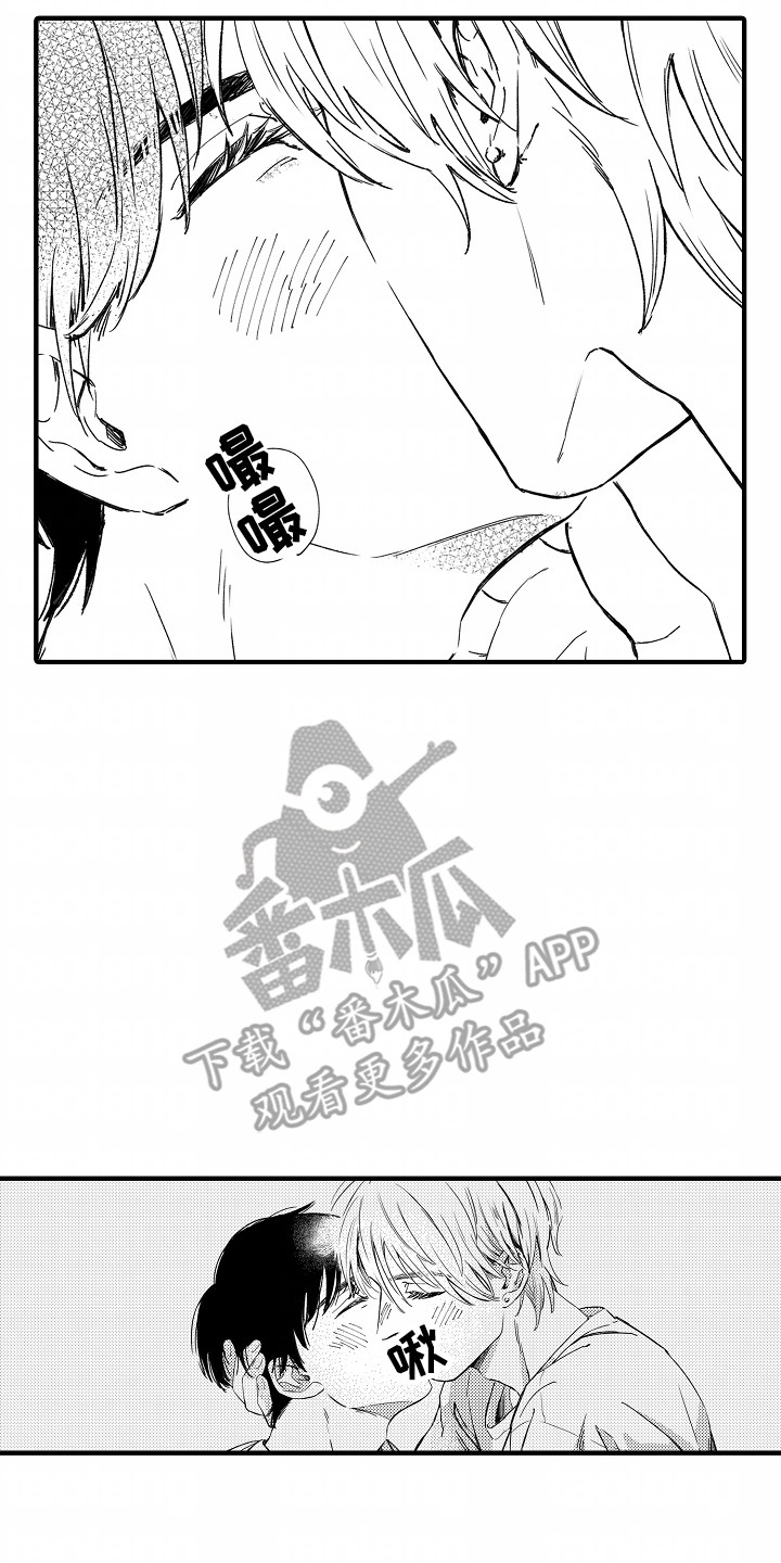 17.jpg