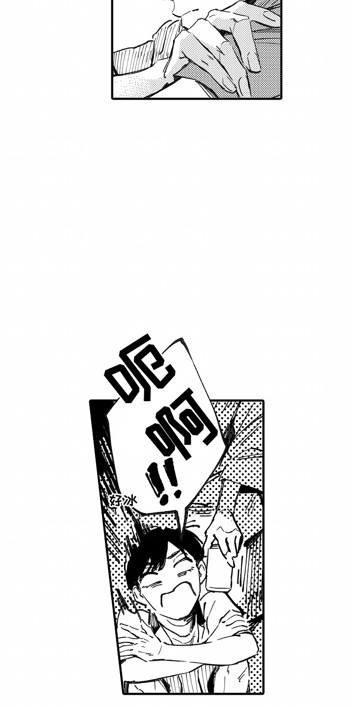 15.jpg