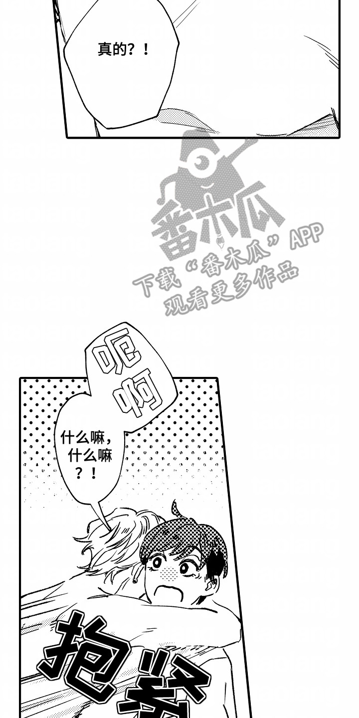 18.jpg