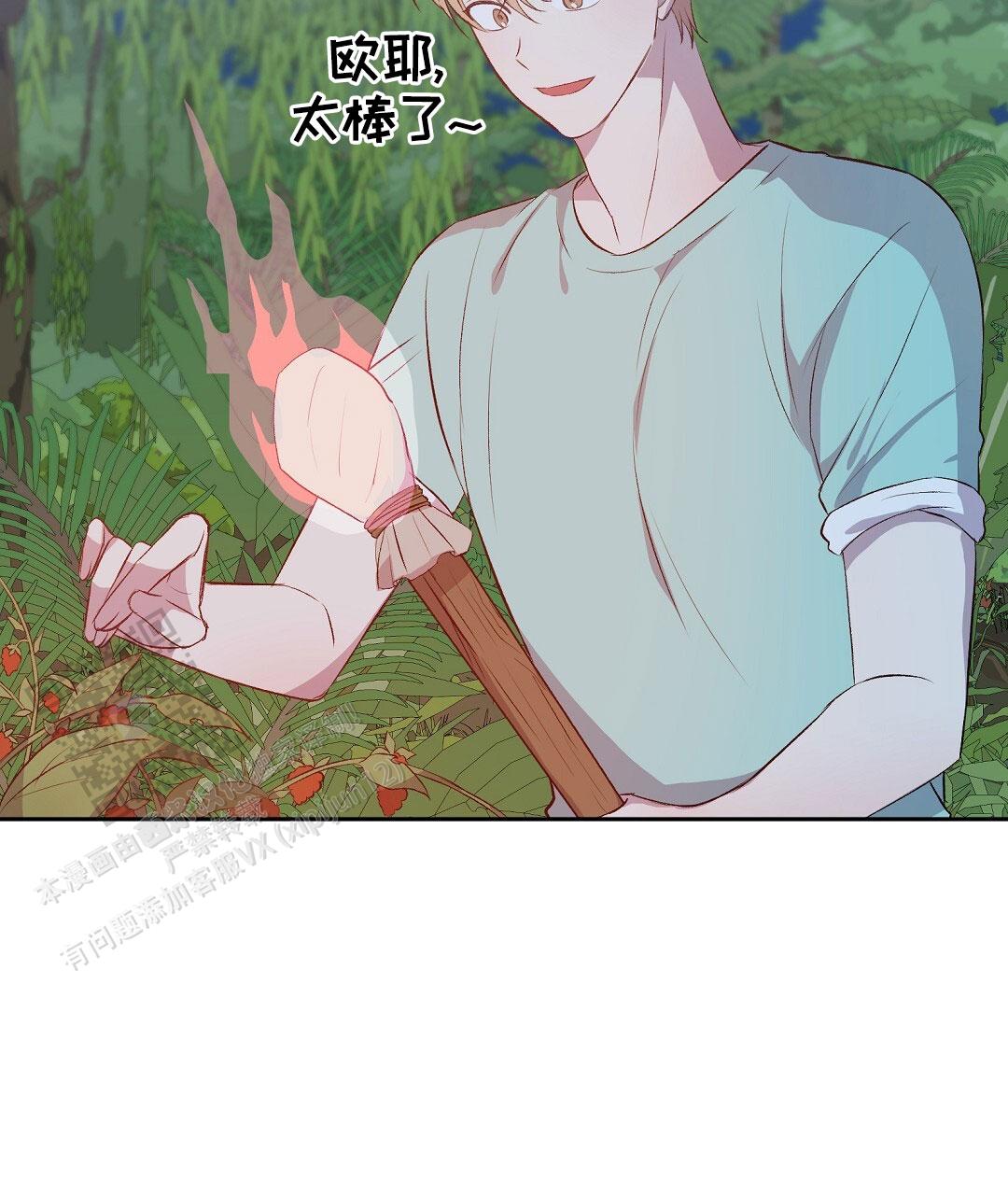 21.jpg