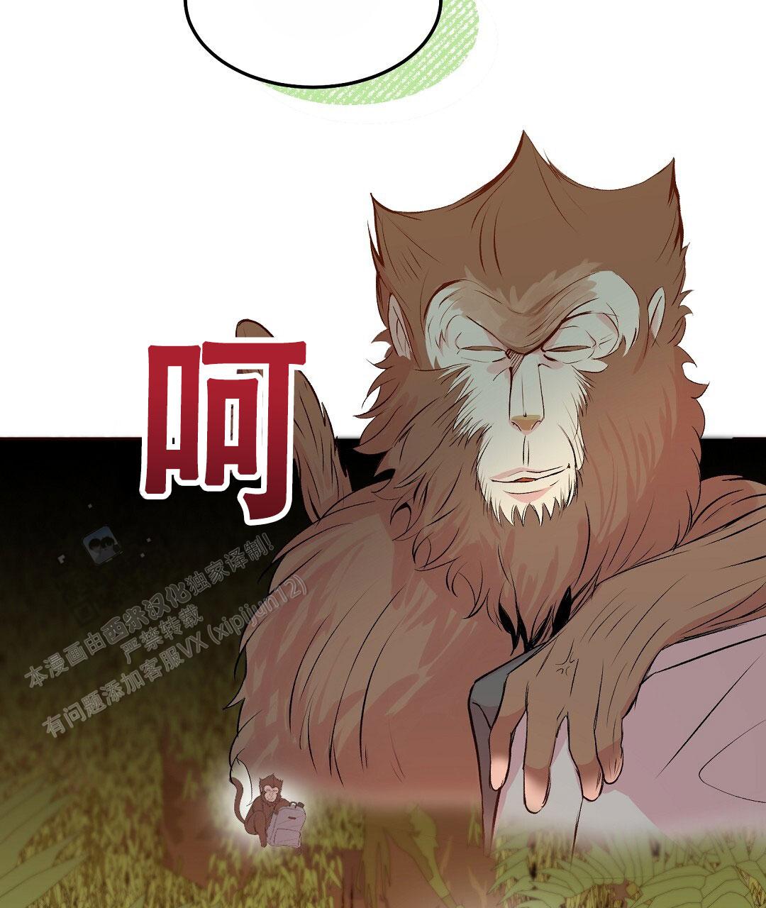 38.jpg