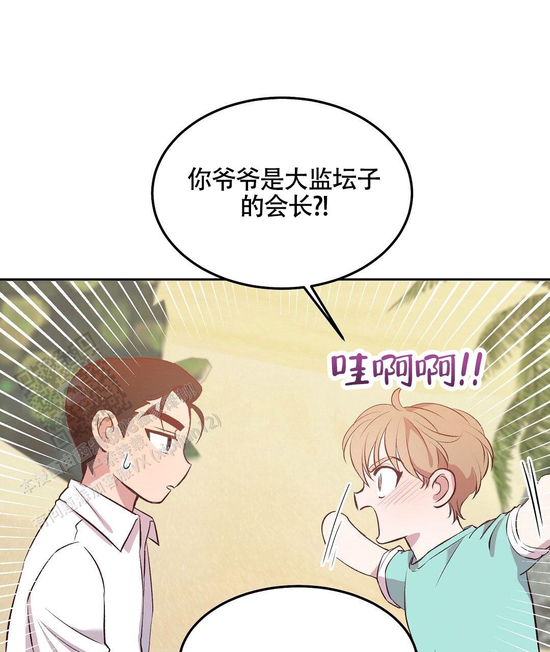31.jpg